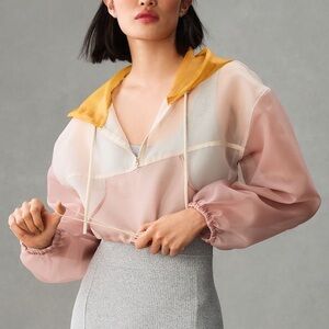 Sporty Sheer Cropped Hoodie via ANTHROPOLOGIE